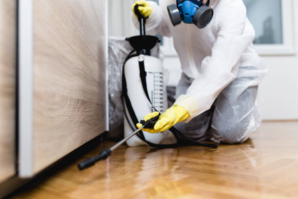 Best Pest Inspection Near Me  in Ness City, KS