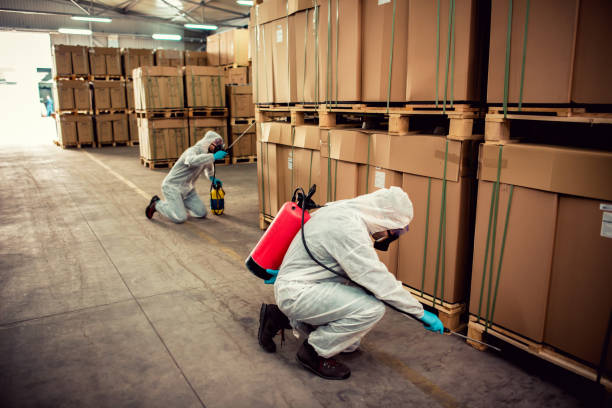 Best Emergency Pest Control  in Ness City, KS