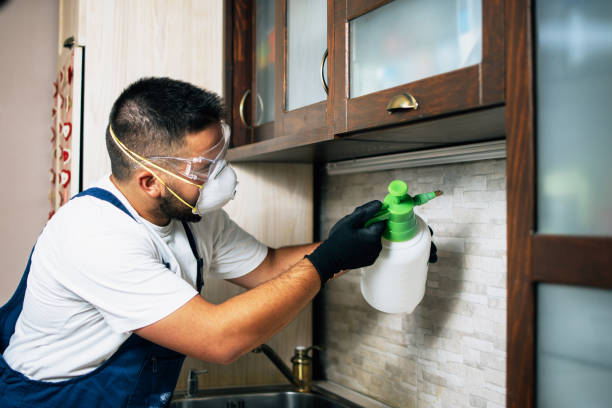 Best Local Pest Control Services  in Ness City, KS