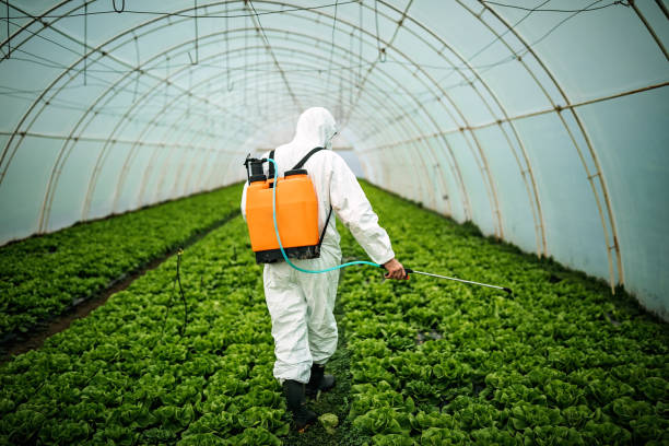 Best Affordable Pest Control Services  in Ness City, KS
