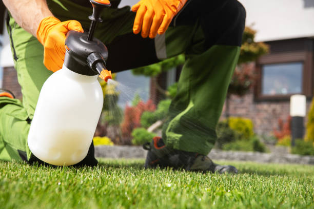 Best Pest Prevention Services  in Ness City, KS
