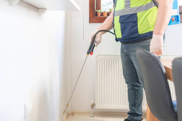 Flea Control Services in Ness City, KS