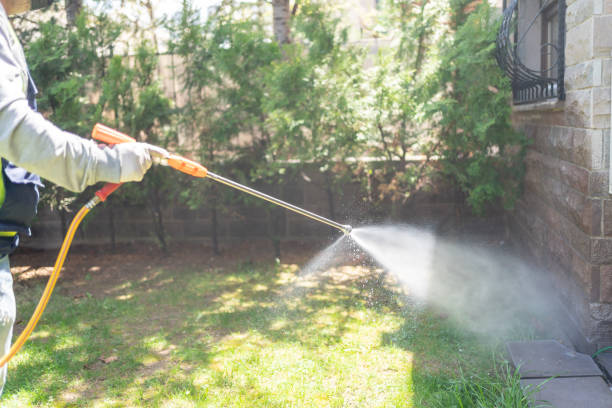 Reliable Ness City, KS Pest Control Solutions