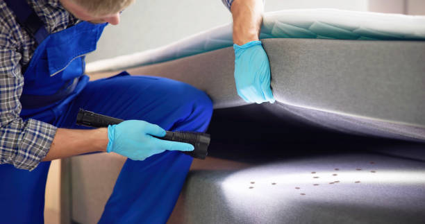 Pest Control for Restaurants in Ness City, KS