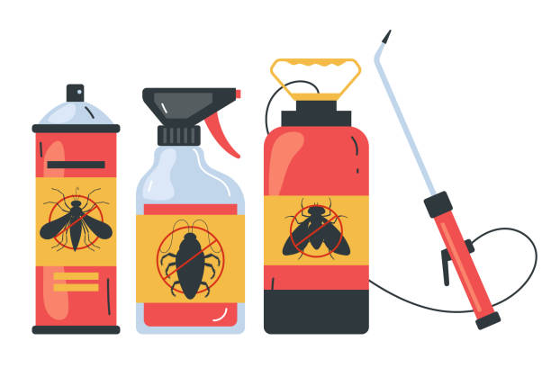 Best Wasp Removal Services  in Ness City, KS
