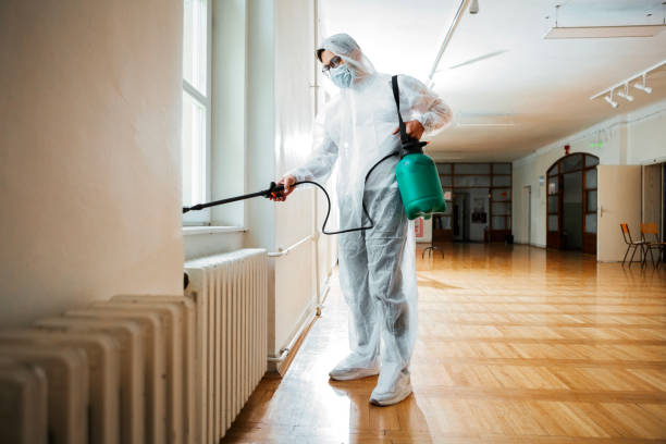 Best Rat Extermination Near Me  in Ness City, KS