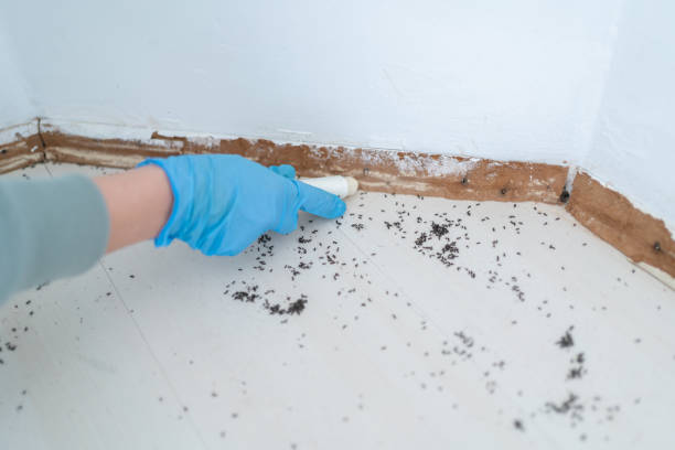 Best Pest Inspection Near Me  in Ness City, KS