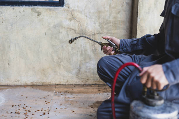 Best Best Pest Control Companies  in Ness City, KS